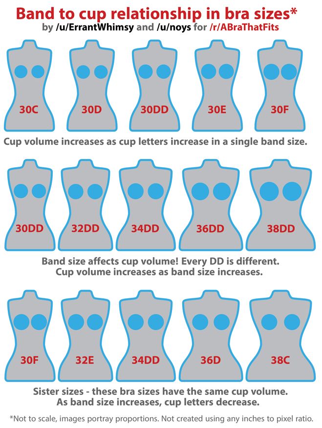 Different Sizes of Breasts (Source: r/abrathatfits)